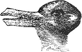 Rabbit Duck Illusion