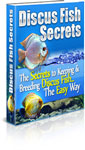 Discus Fish Secrets